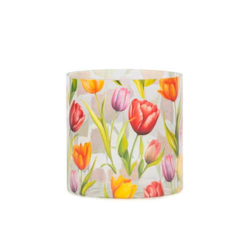 Tulipa Cam Vazo – 15 cm